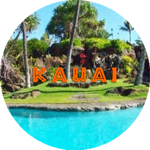 <a href="https://www.discounthawaiicondos.com/wp/our-condos/kauai-condos/">Kauai</a>