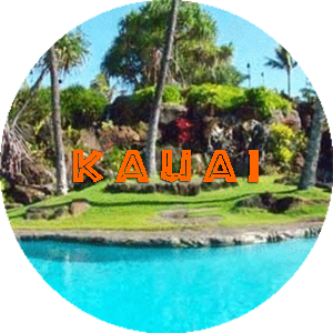 <a href="https://www.discounthawaiicondos.com/wp/our-condos/kauai-condos/">Kauai</a>