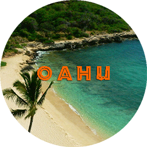 <a href="https://www.discounthawaiicondos.com/wp/our-condos/oahu-condos/">Oahu Condos</a>